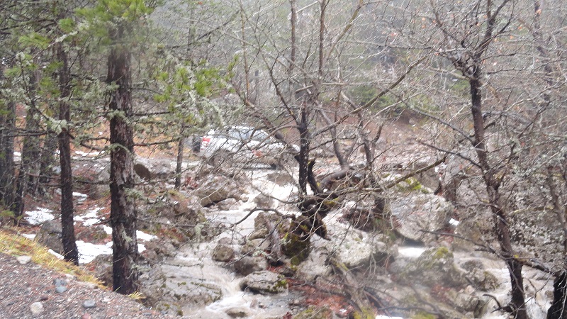 DSC05870.JPG