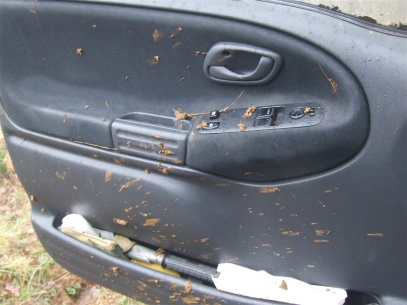 DSCF5554.jpg