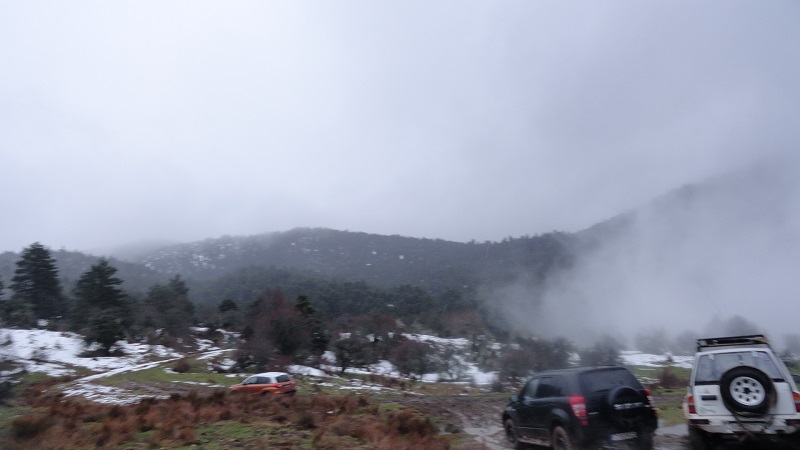 DSC05921.JPG