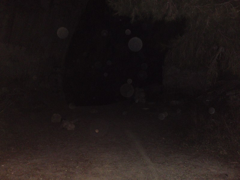 13082010231.jpg
