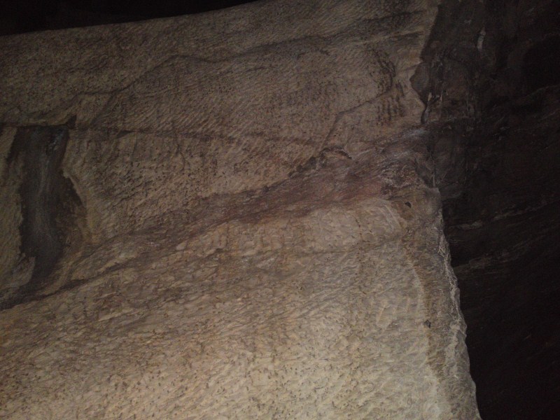 13082010239.jpg