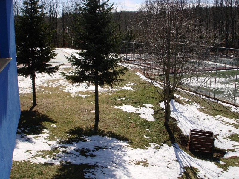 DSC03789.JPG