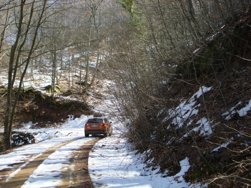 DSC03810.JPG