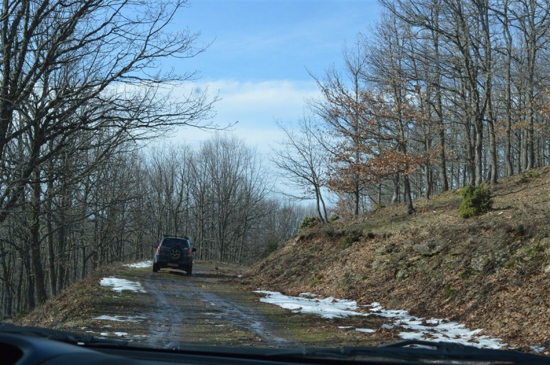 DSC_0476.jpg