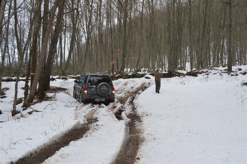 DSC_0546.jpg