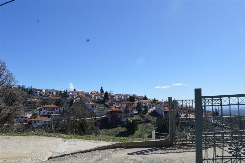 DSC_0657.jpg