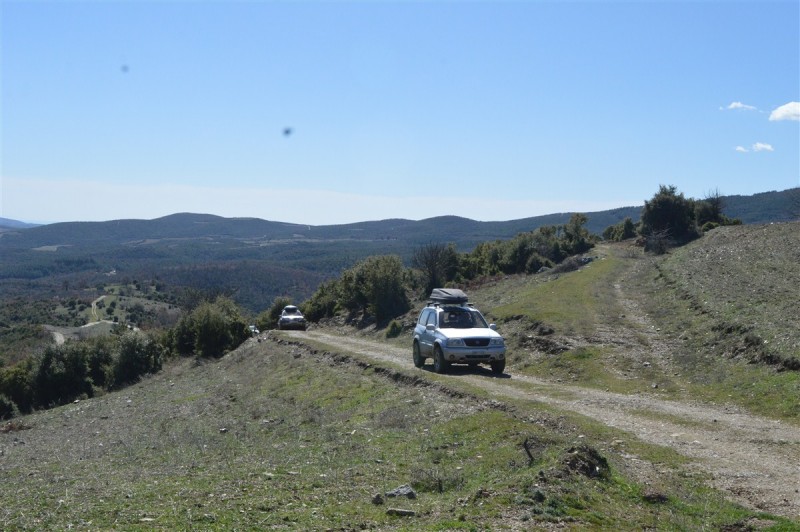 DSC_0672.jpg