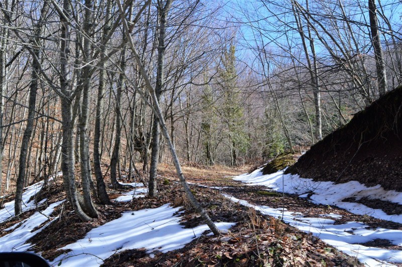 DSC_0743.jpg