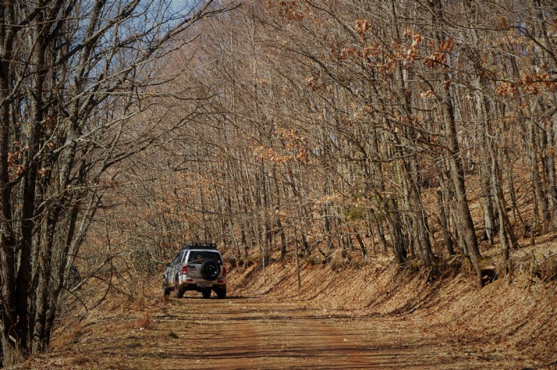 DSC_0744.jpg
