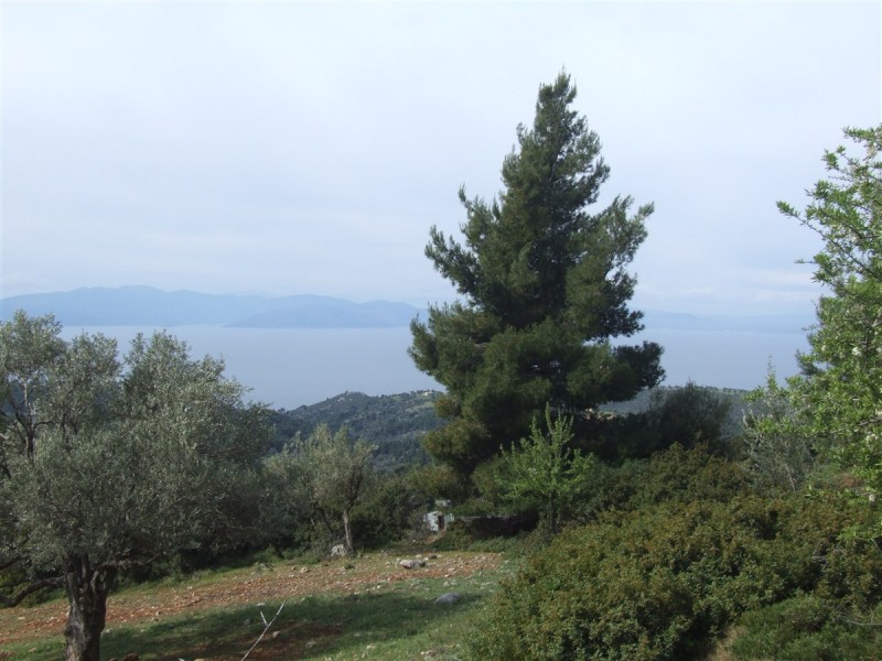 DSCF5633.jpg