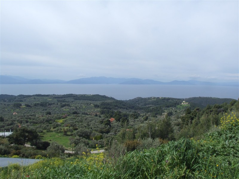 DSCF5635.jpg