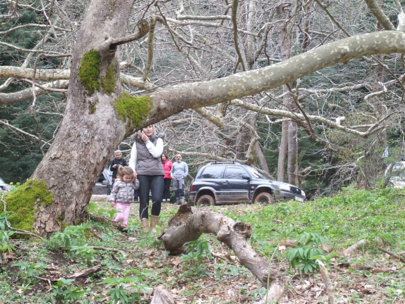 DSCF5649.jpg