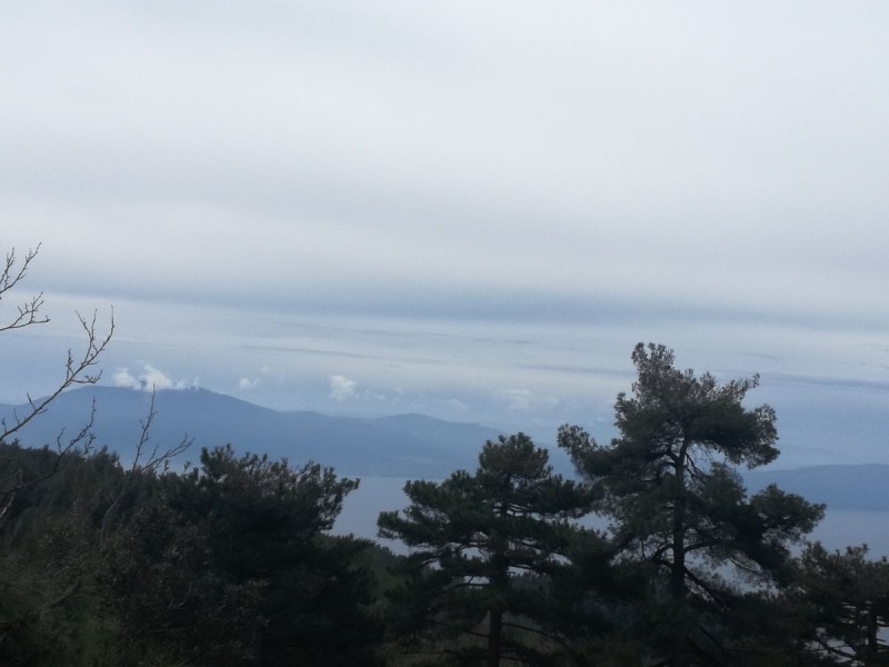 IMG_20180325_114630.jpg