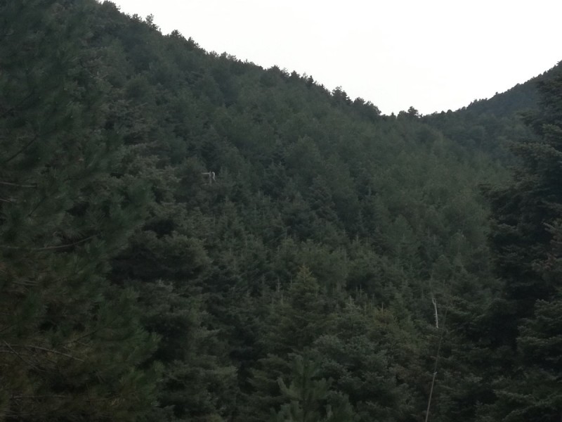 IMG_20180325_125338.jpg