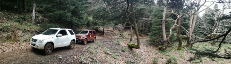 IMG_20180325_130825.jpg