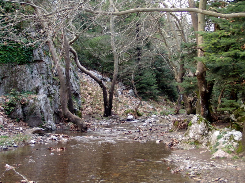 pa-075.jpg