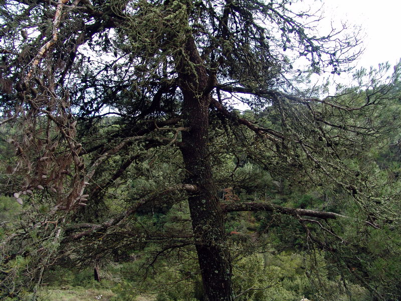 pa-079.jpg