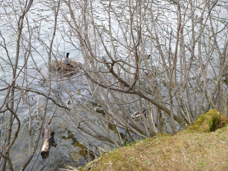 h14_1024x768.JPG