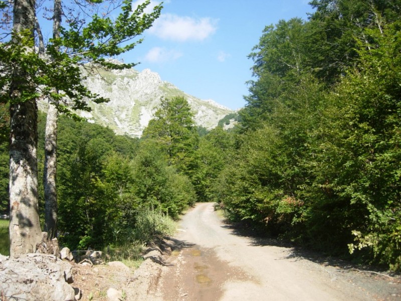 DSCN2847.jpg
