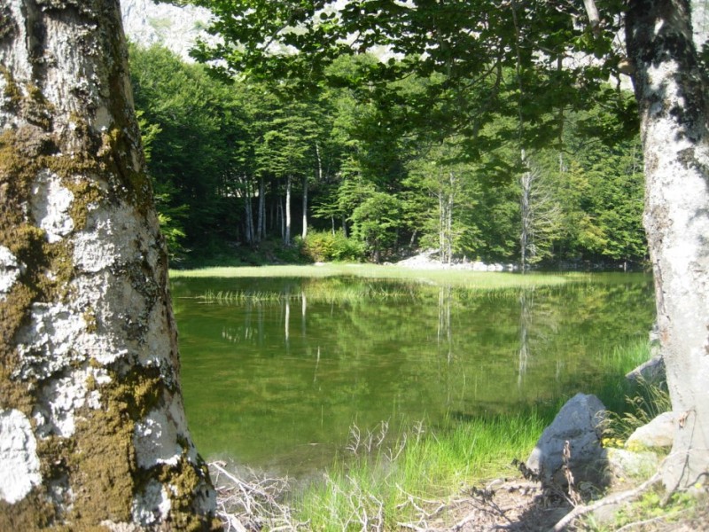 DSCN2848.jpg