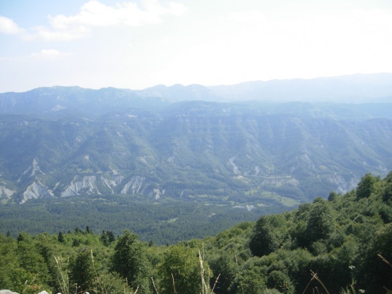 DSCN2858.jpg