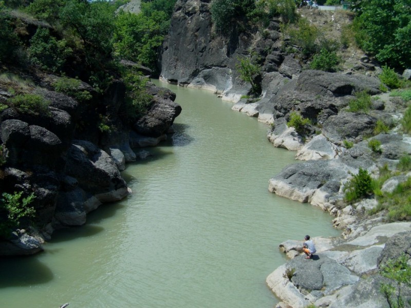 IMAG0010.jpg