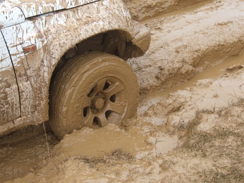 DSCF6078.jpg
