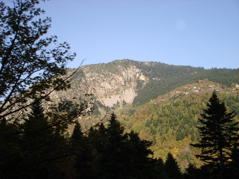 DSC04287.JPG