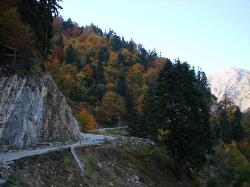 DSC04292.JPG