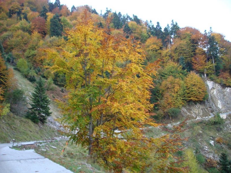 DSC04293.JPG