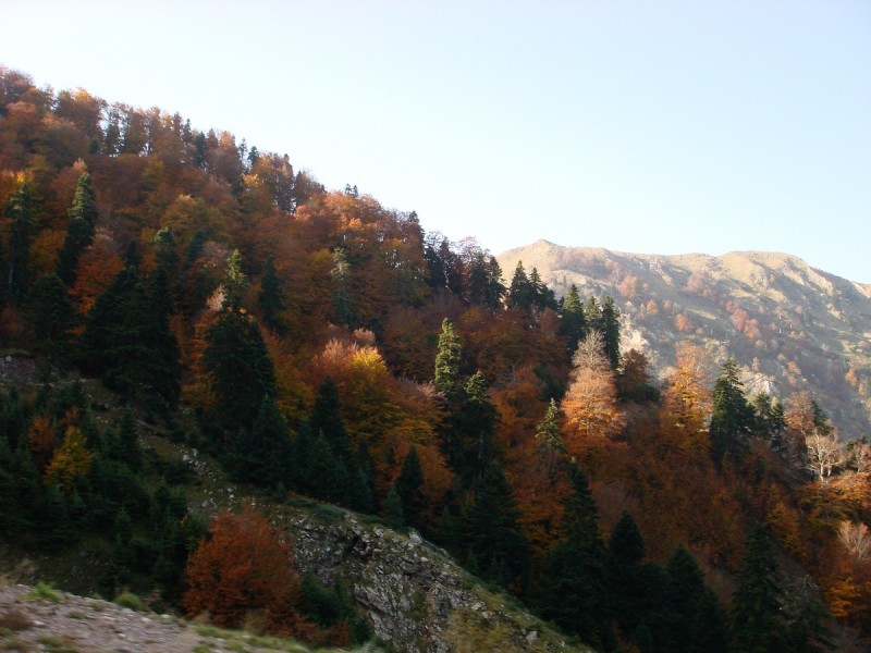 DSC04294.JPG