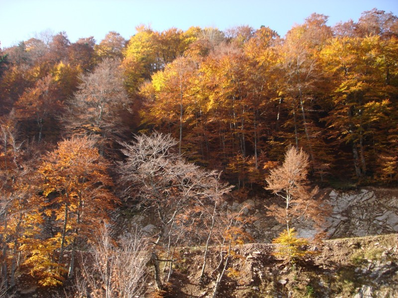 DSC04295.JPG
