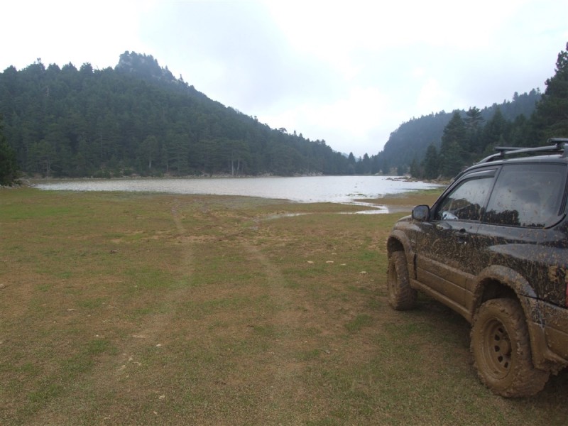 DSCF6082.jpg