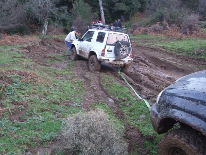 DSCF6524.jpg