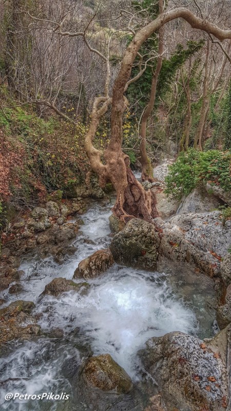 20181230_161704-01 (675 x 1200).jpg