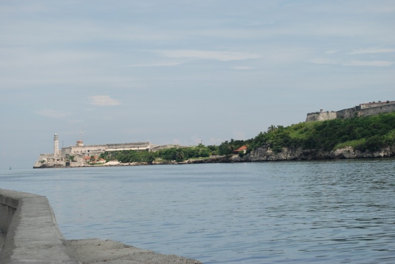 DSC_1528.JPG