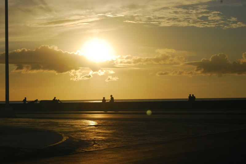 DSC_2320.JPG