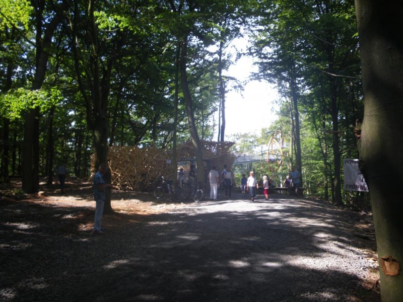 207_1024x768.jpg