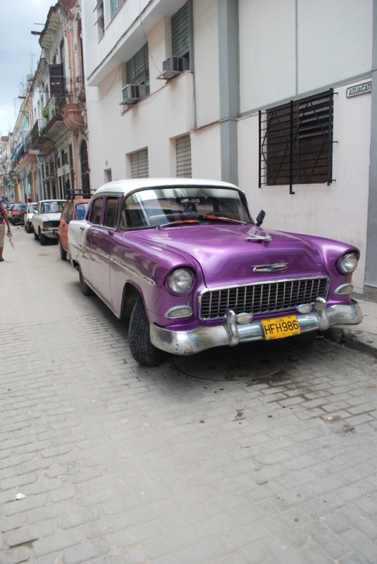 DSC_1664.JPG