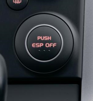 ESP button2.jpg