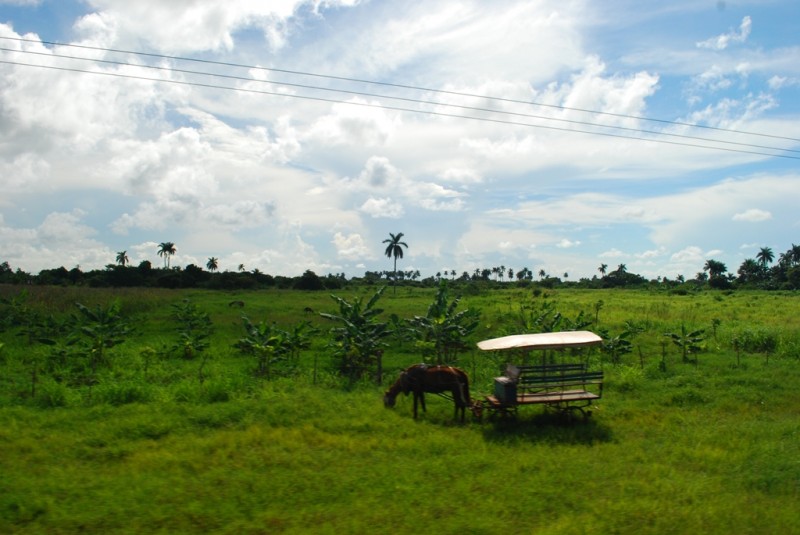 DSC_2494.JPG