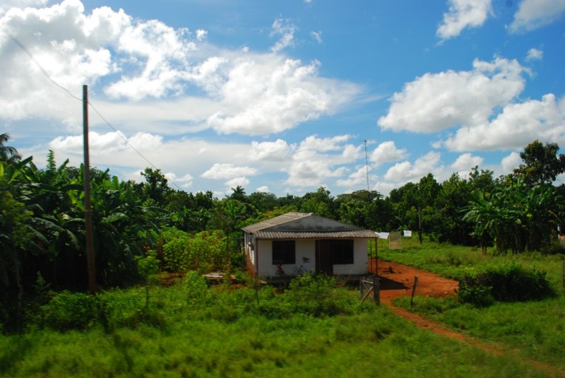 DSC_2516.JPG