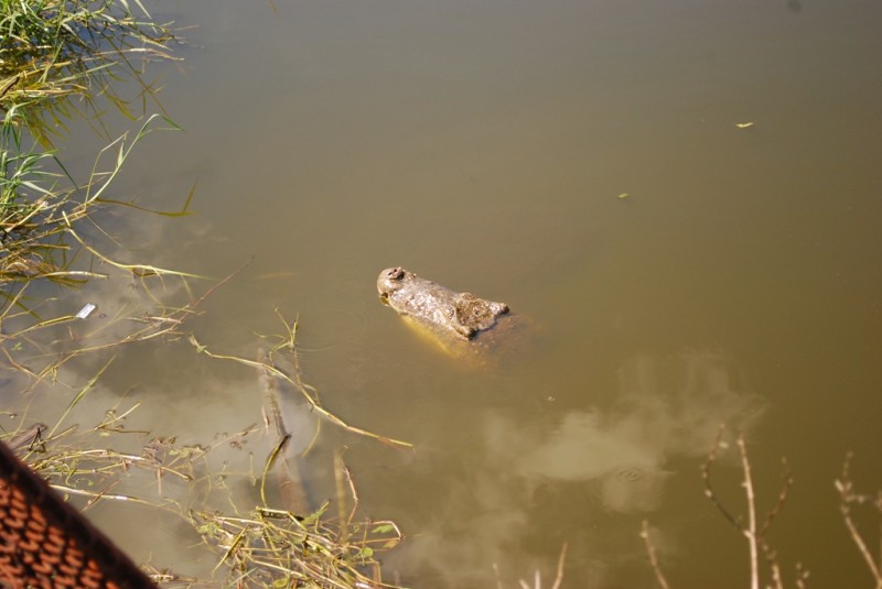 DSC_2559.JPG