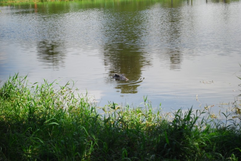 DSC_2562.JPG