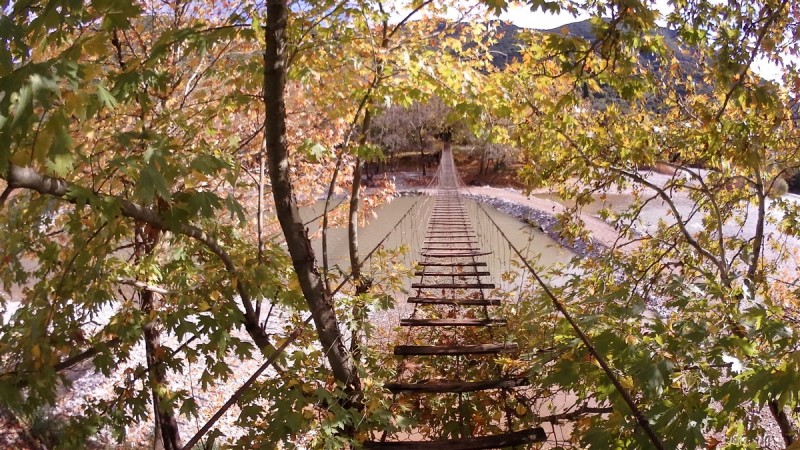 PB170008.jpg