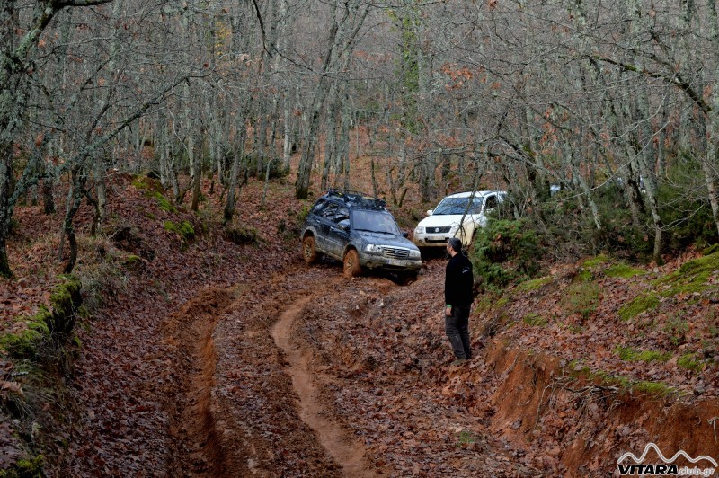 DSC_3880 Vitaraclub.gr_B.Ευβοια_29.11.2014.JPG