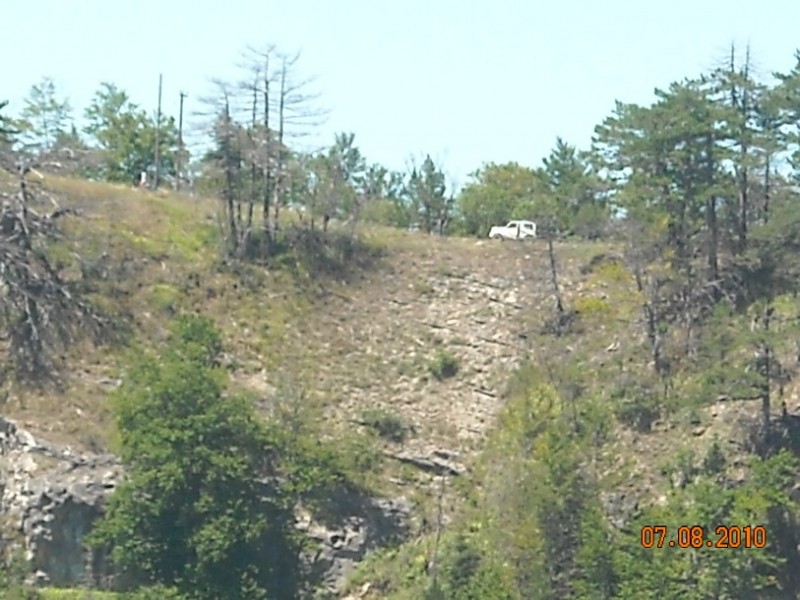 diafora 135.jpg