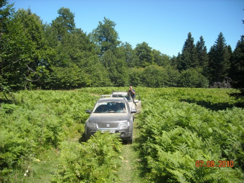 diafora 125.jpg