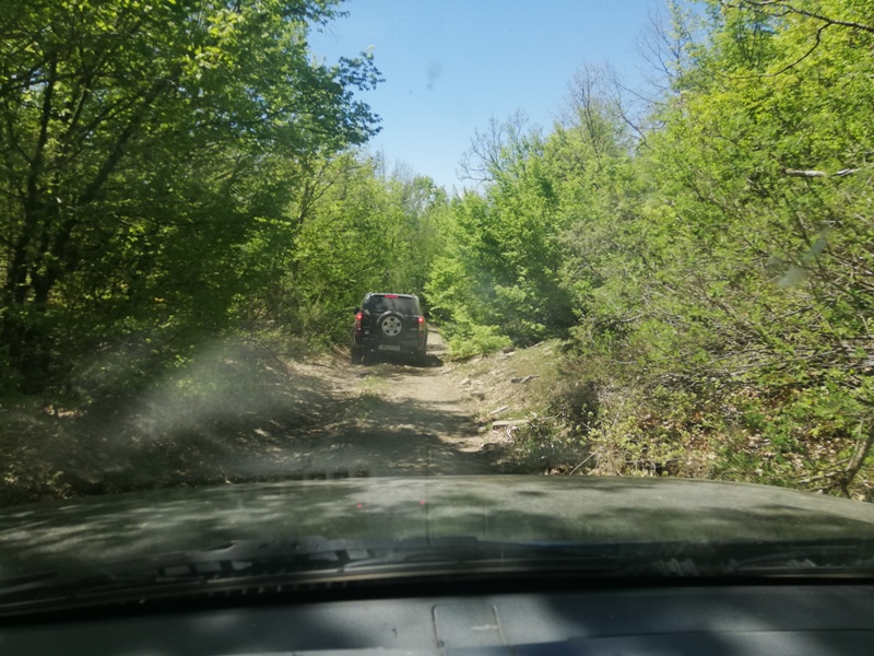 IMG_20190428_134857.jpg