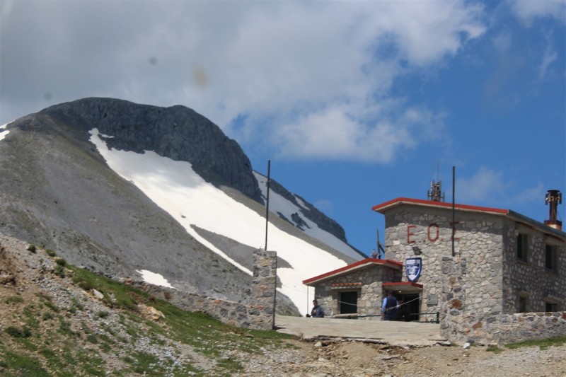 IMG_8290.jpg